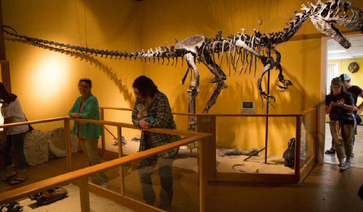 Dinosaur experiences in Converse County