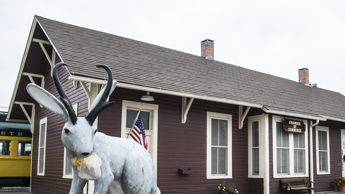Douglas is Jackalope City