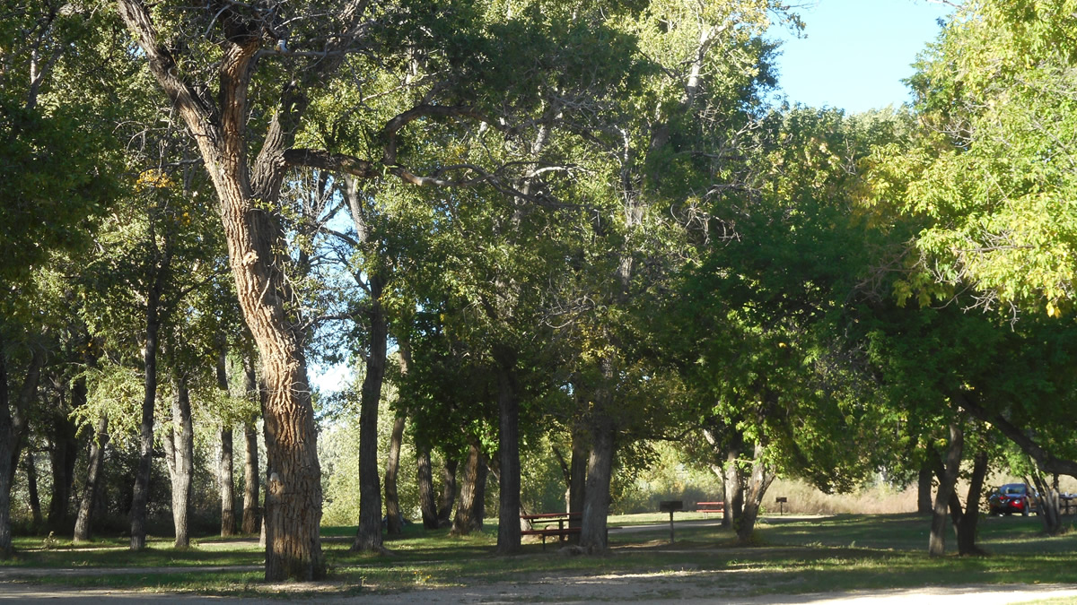 Glenrock Town Park