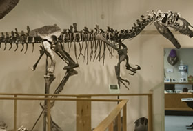 The Paleon Museum