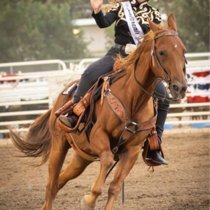 2025PRCARodeo 1866