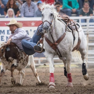 2025PRCARodeo 1967