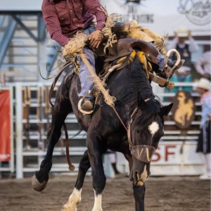 2025PRCARodeo 2258