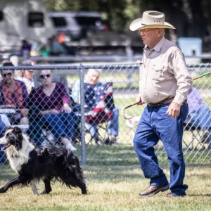 2025 GlenrockSheepherders 7868