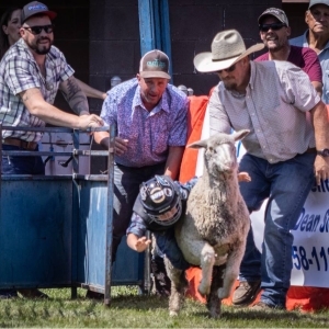 2025 GlenrockSheepherders 8247
