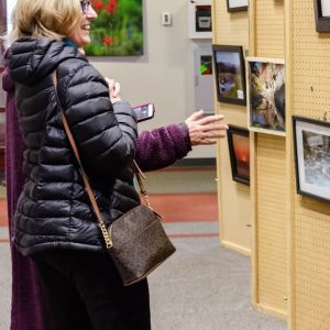 photo-showDSC 3715