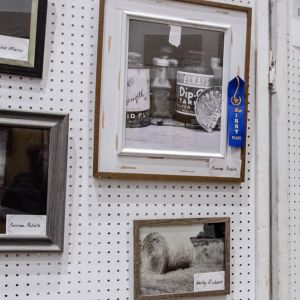 photo-showDSC 3764
