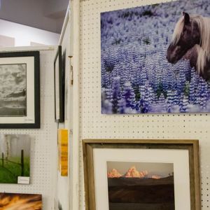 photo-showDSC 3805